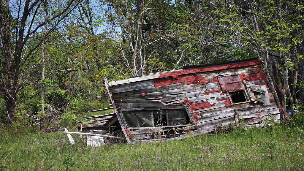 A red shack destroyed by a flood in Summerton in a forested area.